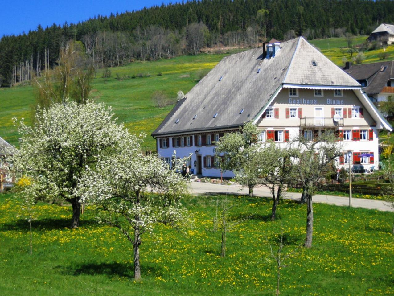 Ferienwohnung Schwarzwald-Alpenblick Lenzkirch Exterior foto